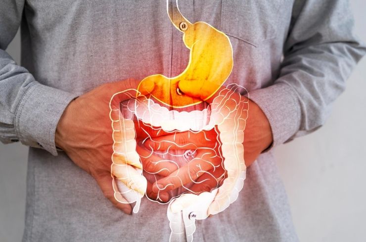 Gastroenterology and Hepatology